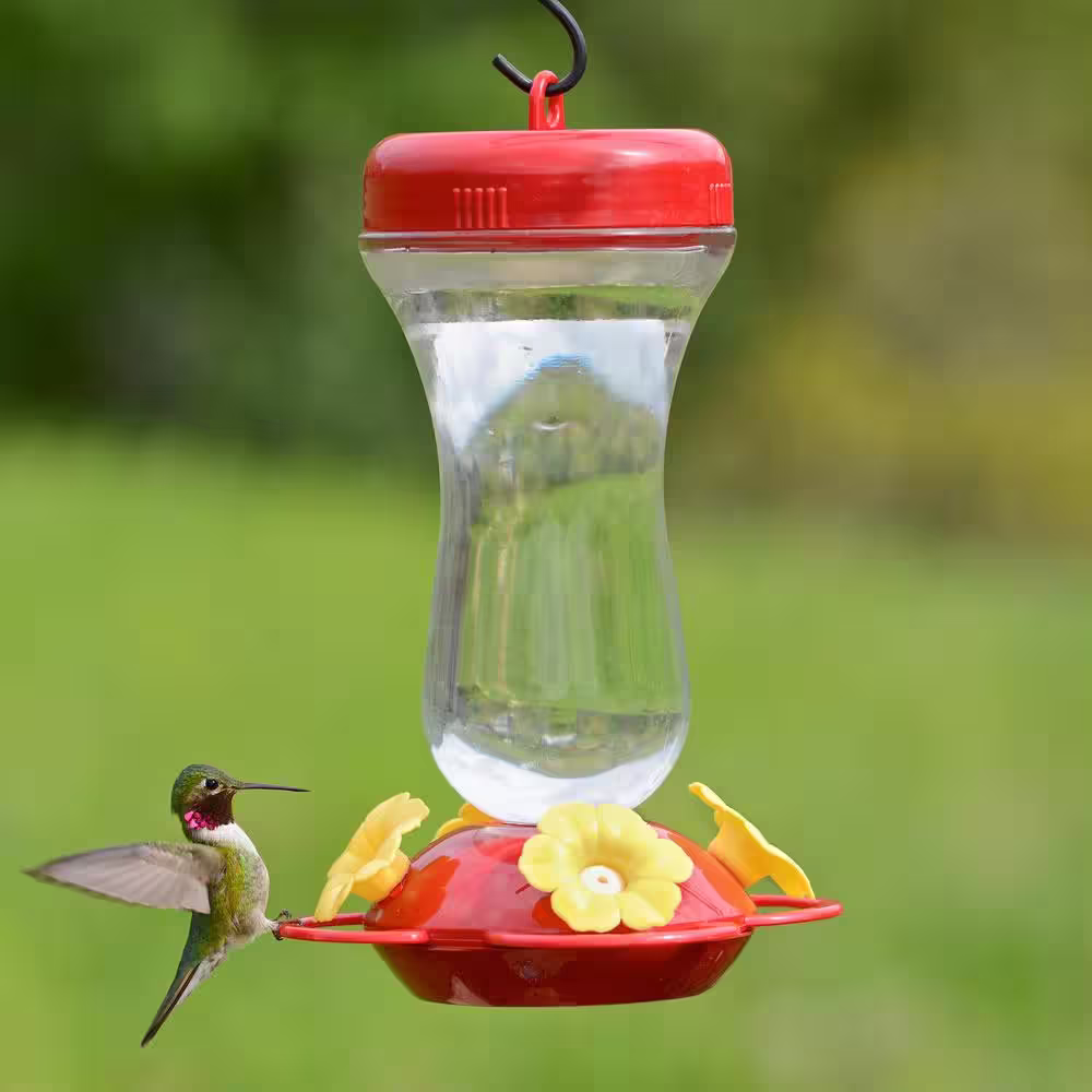 Perky-Pet Petunia Top-Fill Glass Hummingbird Feeder - 16 oz. Capacity