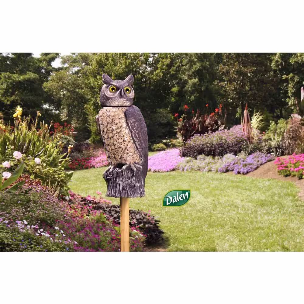 GARDENEER By Dalen 18.5 in. H Dalen Products SOL-R Action Owl