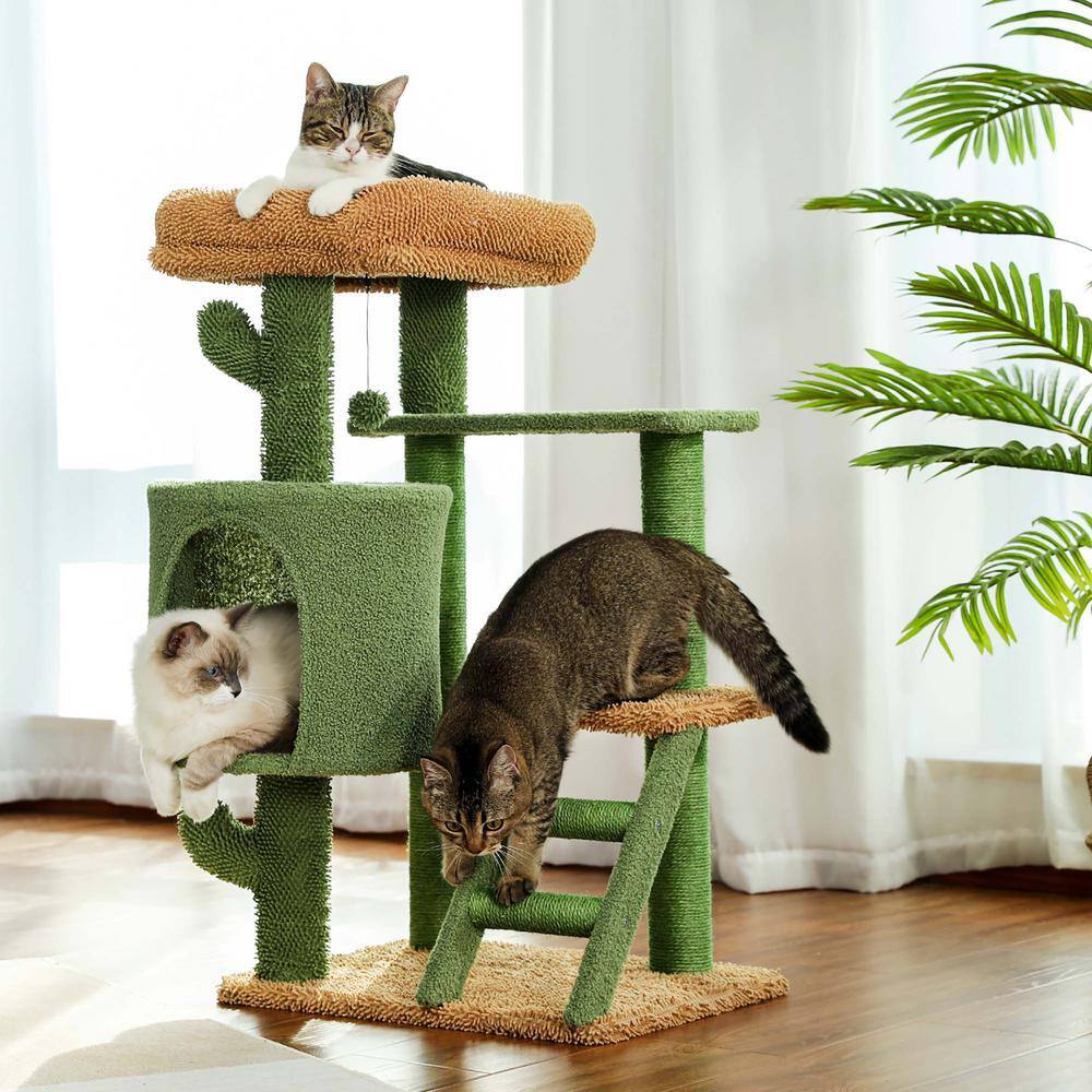 Foobrues Lovely Desert Cactus Cat Tree Ladder Multi Levels Condo