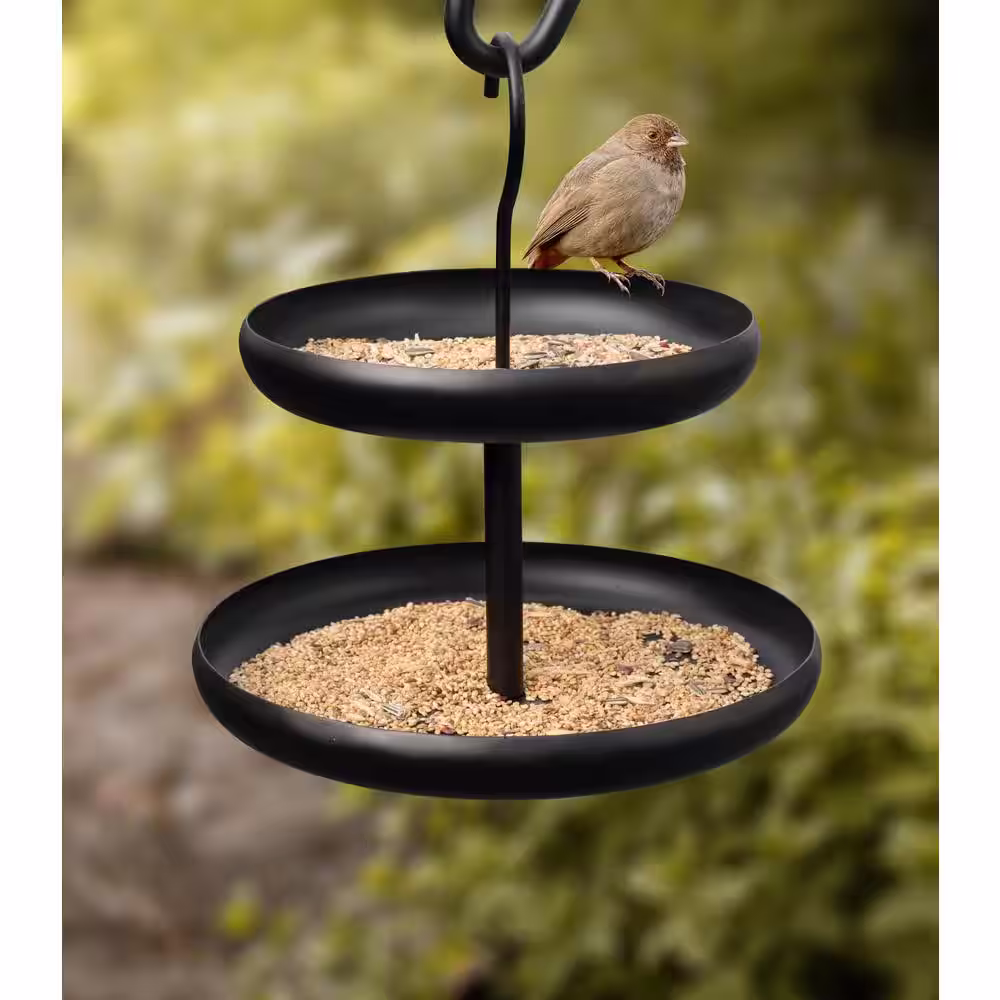 Monarch Abode 2-Tier Black Powder Coated Iron Bird Feeder