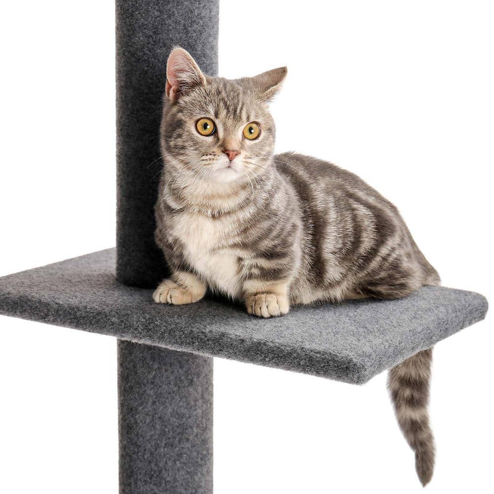 Foobrues Pet Cats Scratching Posts and Trees Crawler Cat Tree