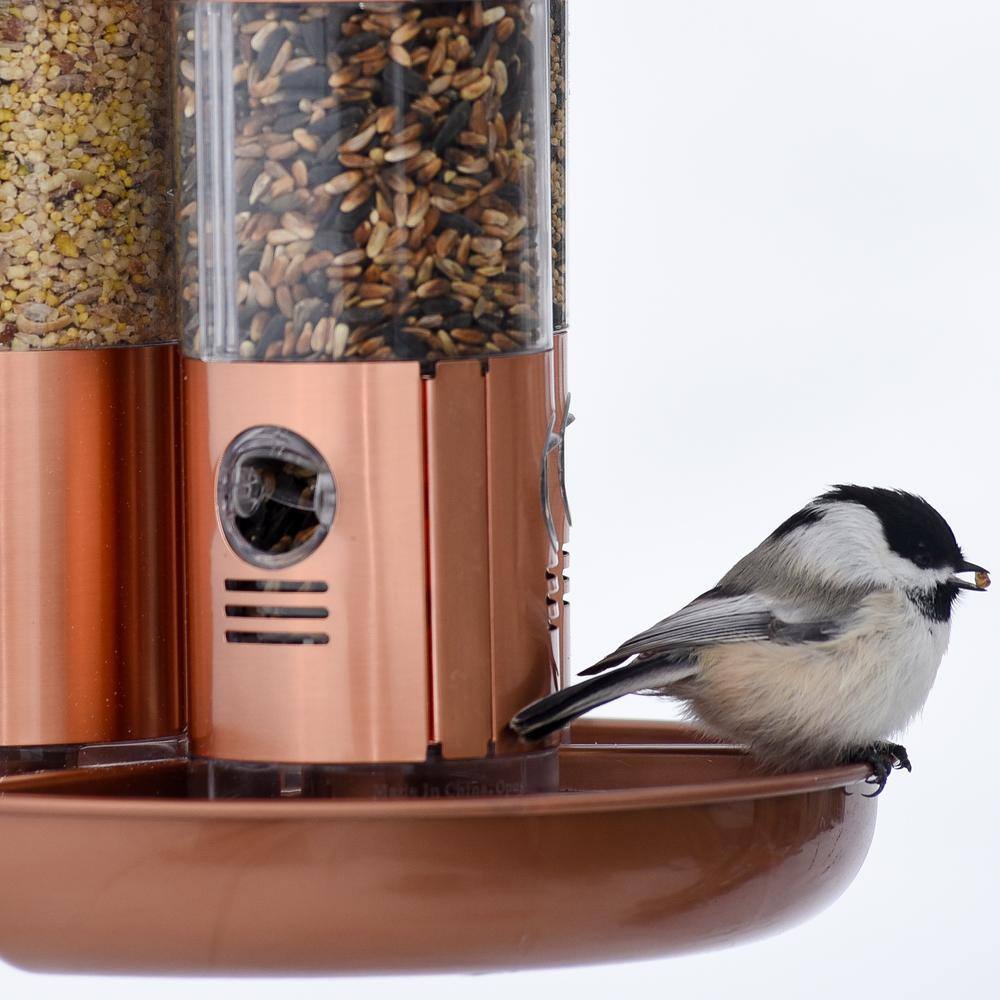 Perky-Pet CopperÂ FinishÂ Rust-Resistant Durable Triple-TubeÂ Multi-Seed Squirrel-Resistant WildÂ Bird Feeder - 10 lb. Capacity
