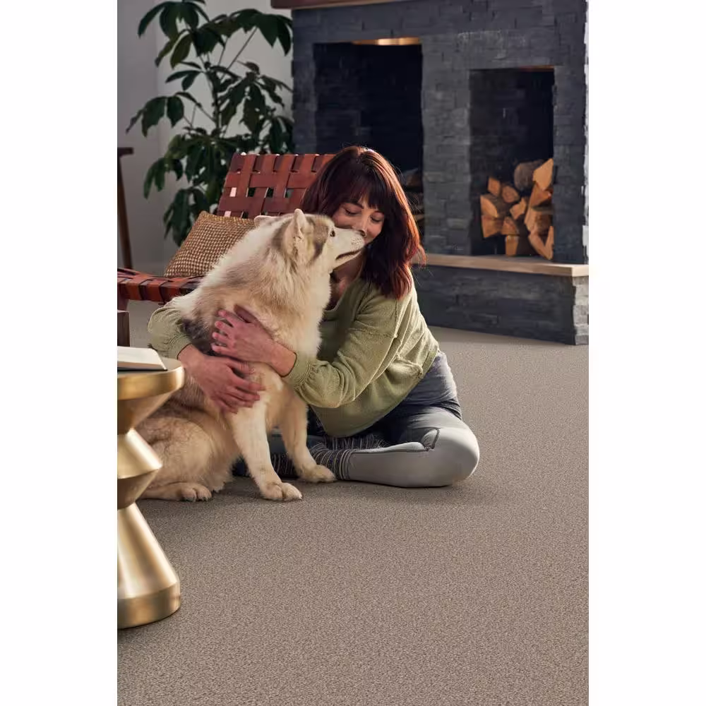 Home Decorators Collection Pioneer - Desert Travels - Brown 73.5 oz. SD Polyester Texture Installed Carpet