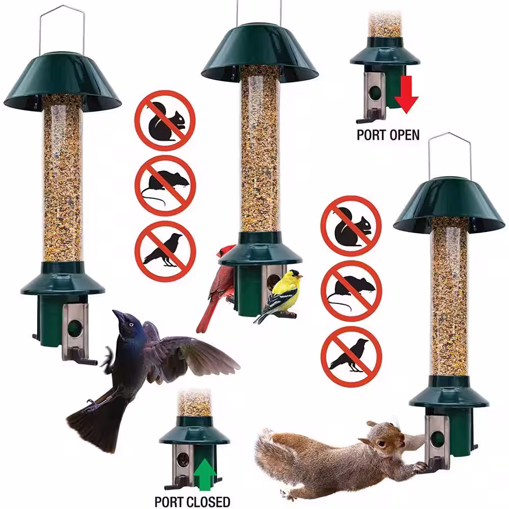 None Metal Pest Off Squirrel Proof Mixed Seed and Sunflower Bird Feeder