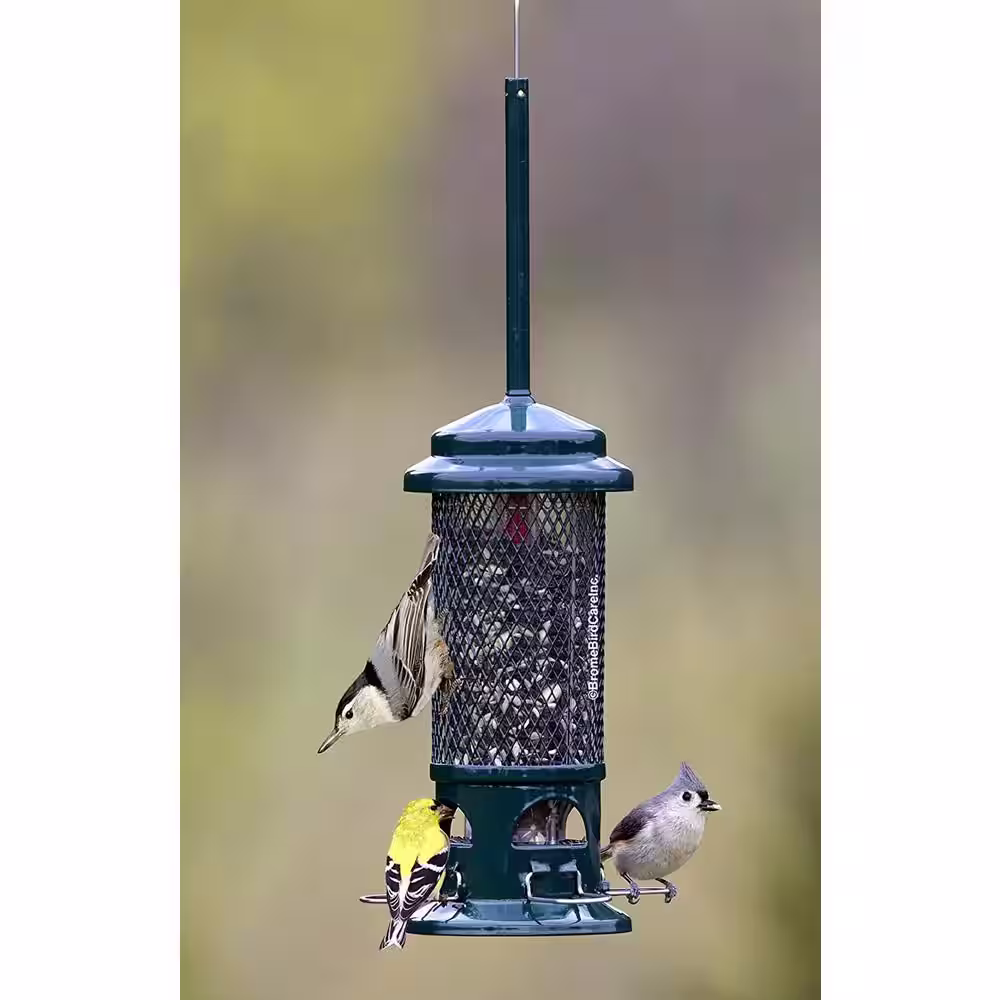 None 10 in. H Hanging Standard Squirrel Resistant Bird Feeder with 4 Metal Perches, 1.3 lbs. Seed Capacity, Garden Greens