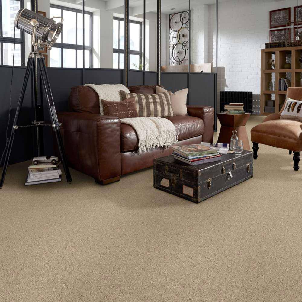 Home Decorators Collection Brave Soul II - Tasty Warm - Beige 44 oz. Polyester Texture Installed Carpet