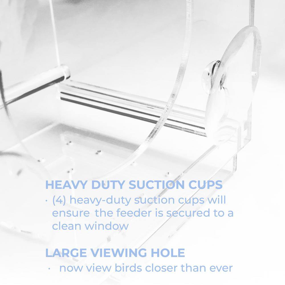 None Clear Plastic Window Bird Feeder with Powerful Suction