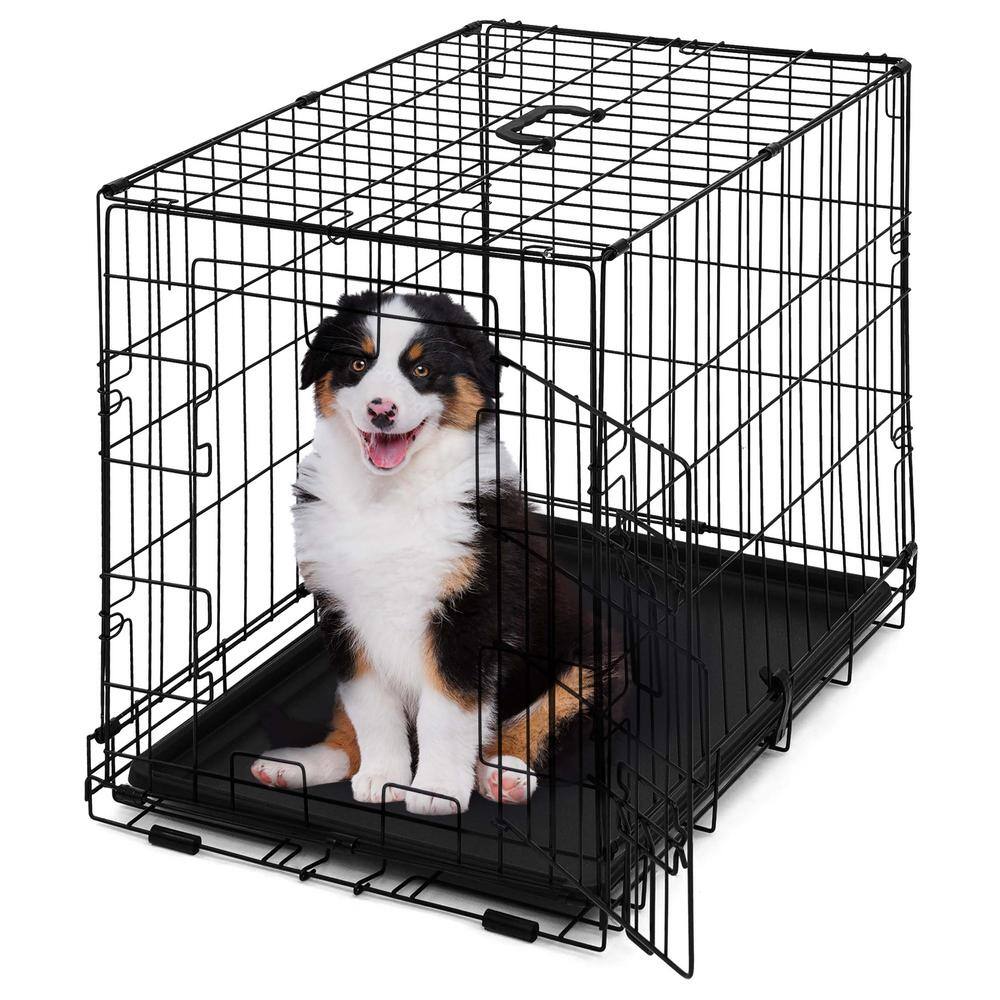 None 24 in. W Foldable Dog Crate Wire Metal Dog Kennel with Divider Panel, Leak-Proof Pan and Protecting Feet