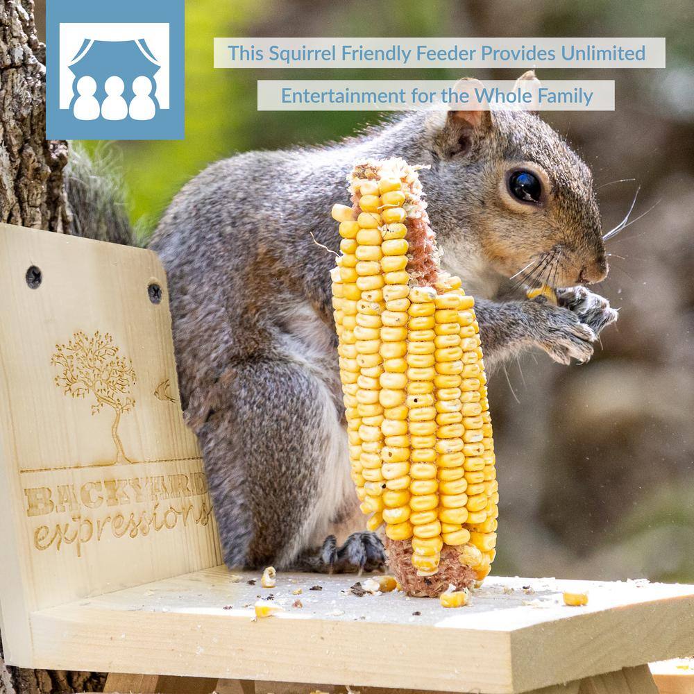 None Backyard Expressions Picnic Table Squirrel Feeder