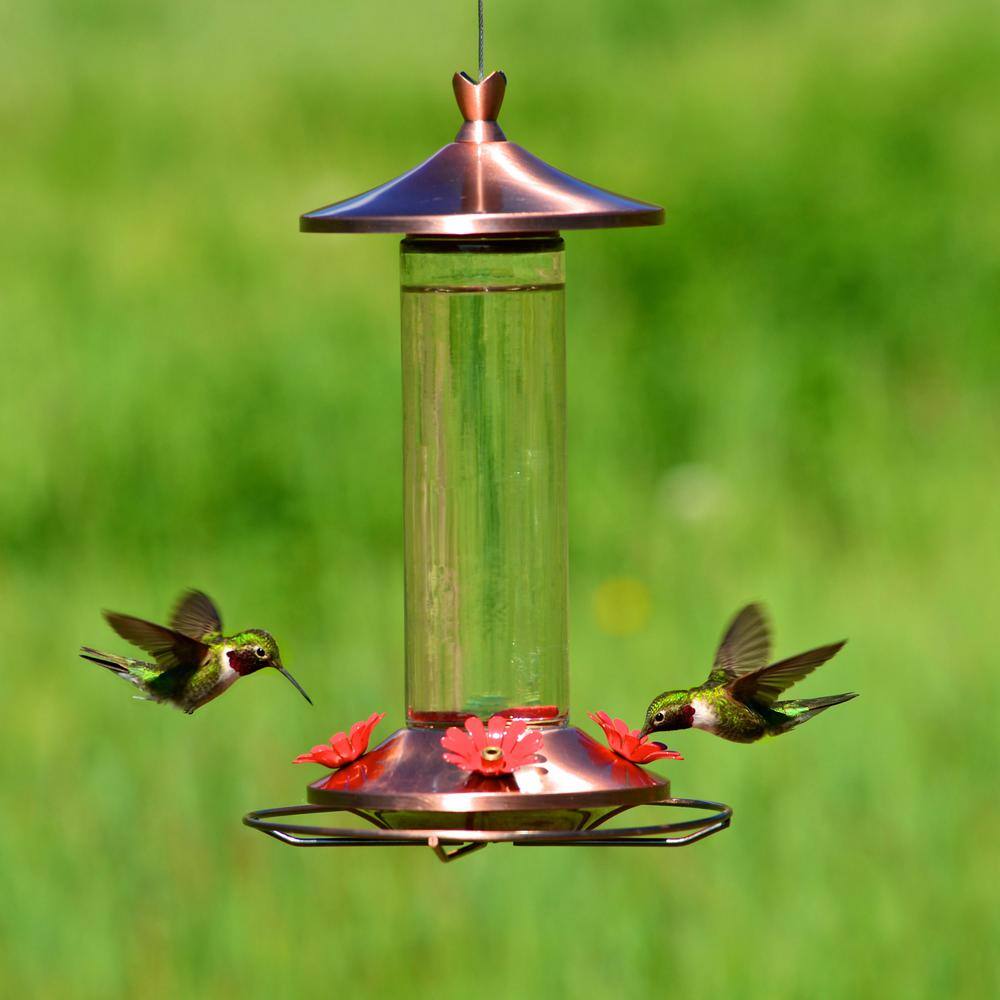 Perky-Pet Elegant Copper Hummingbird Feeder Kit