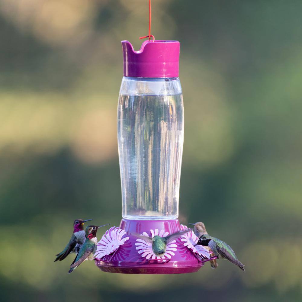 Perky-Pet Hummer's Favorite Top-Fill Glass Hummingbird Feeder - 36 oz. Capacity