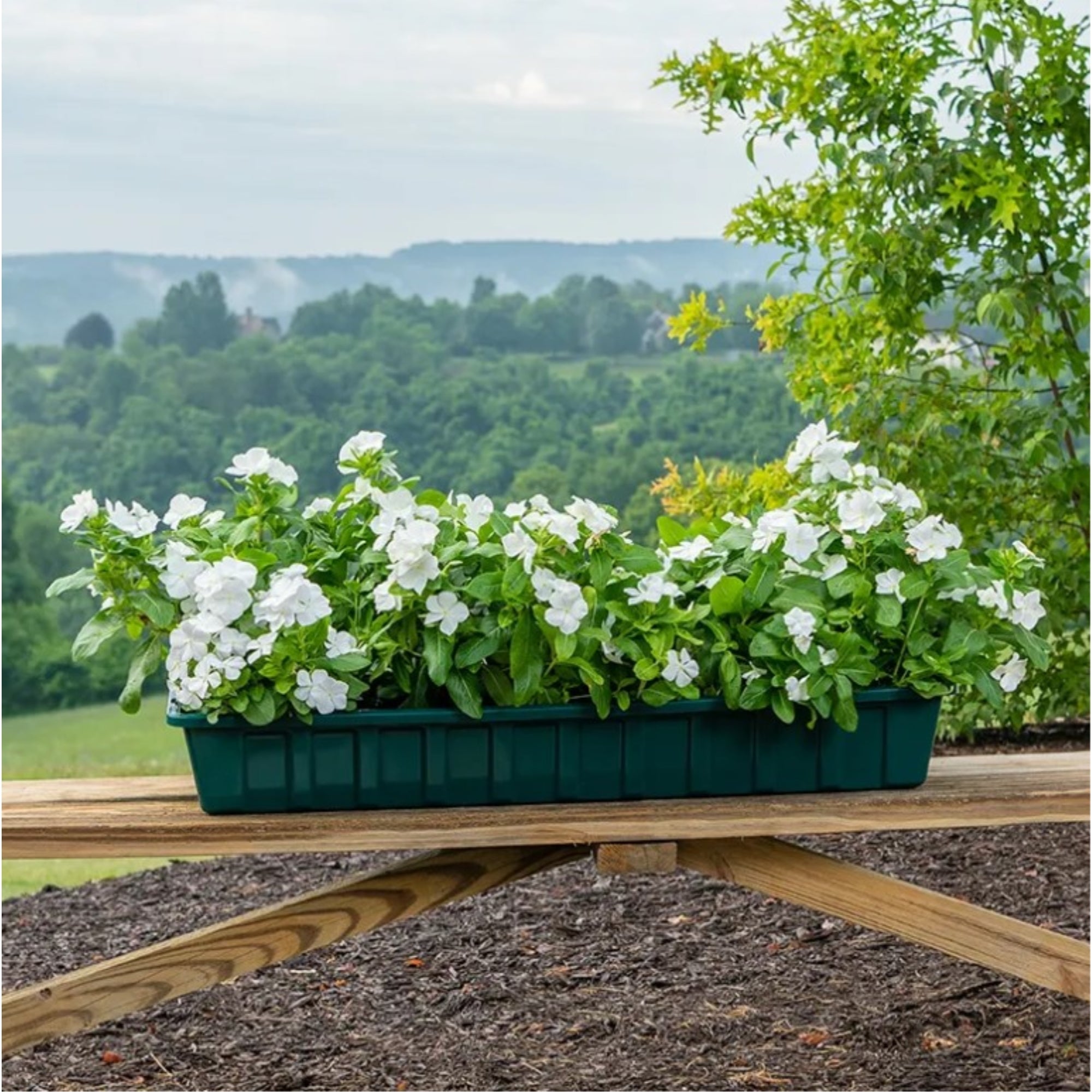 Novelty Poly-Pro Plastic Indoor/Outdoor Liner/Planter Flower Box, Green, 30 inch