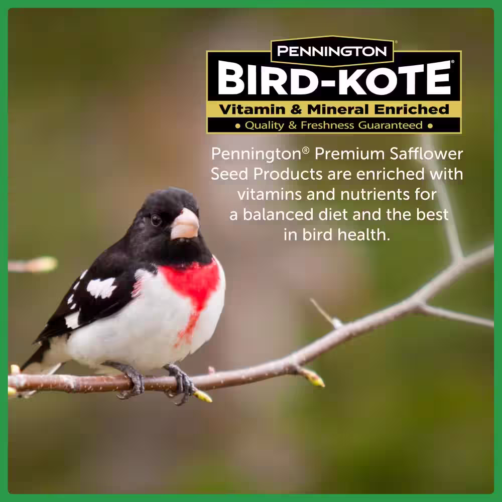 Pennington Premium 7 lbs. Safflower Bird Seed Bird Food