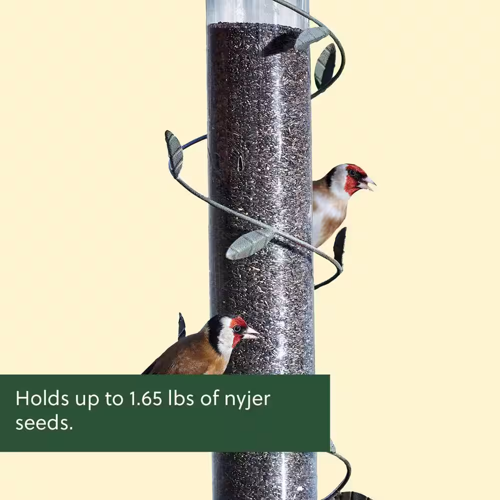 None Spiral Finch Feeder