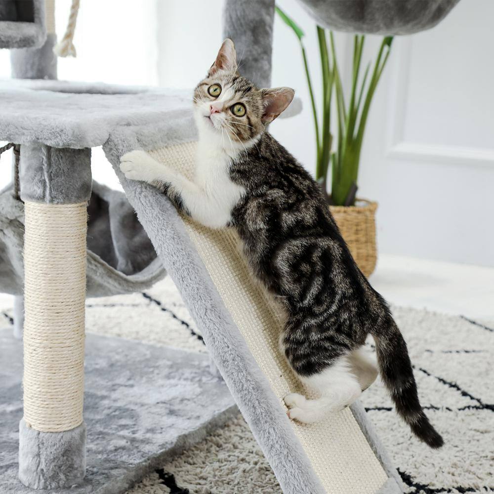 None Multi-Level Gray Pet Cats Scratching Posts and Trees with Ladder, Double Condos, Hammocks,Perches& Hanging Balls