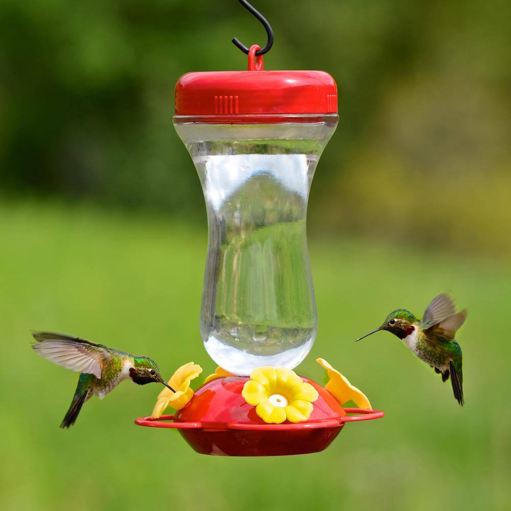 Perky-Pet Petunia Top-Fill Glass Hummingbird Feeder - 16 oz. Capacity