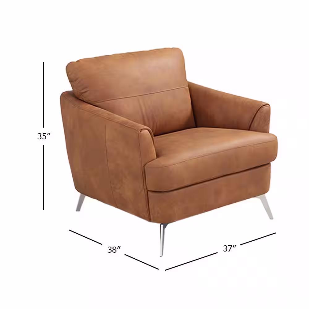 Acme Furniture Safi Cappuccino Leather Armchair