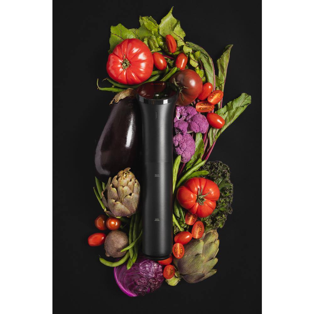 None Precision Cooker Nano 3.0 16 qt. Black Sous Vide Slow Cooker with Wifi App