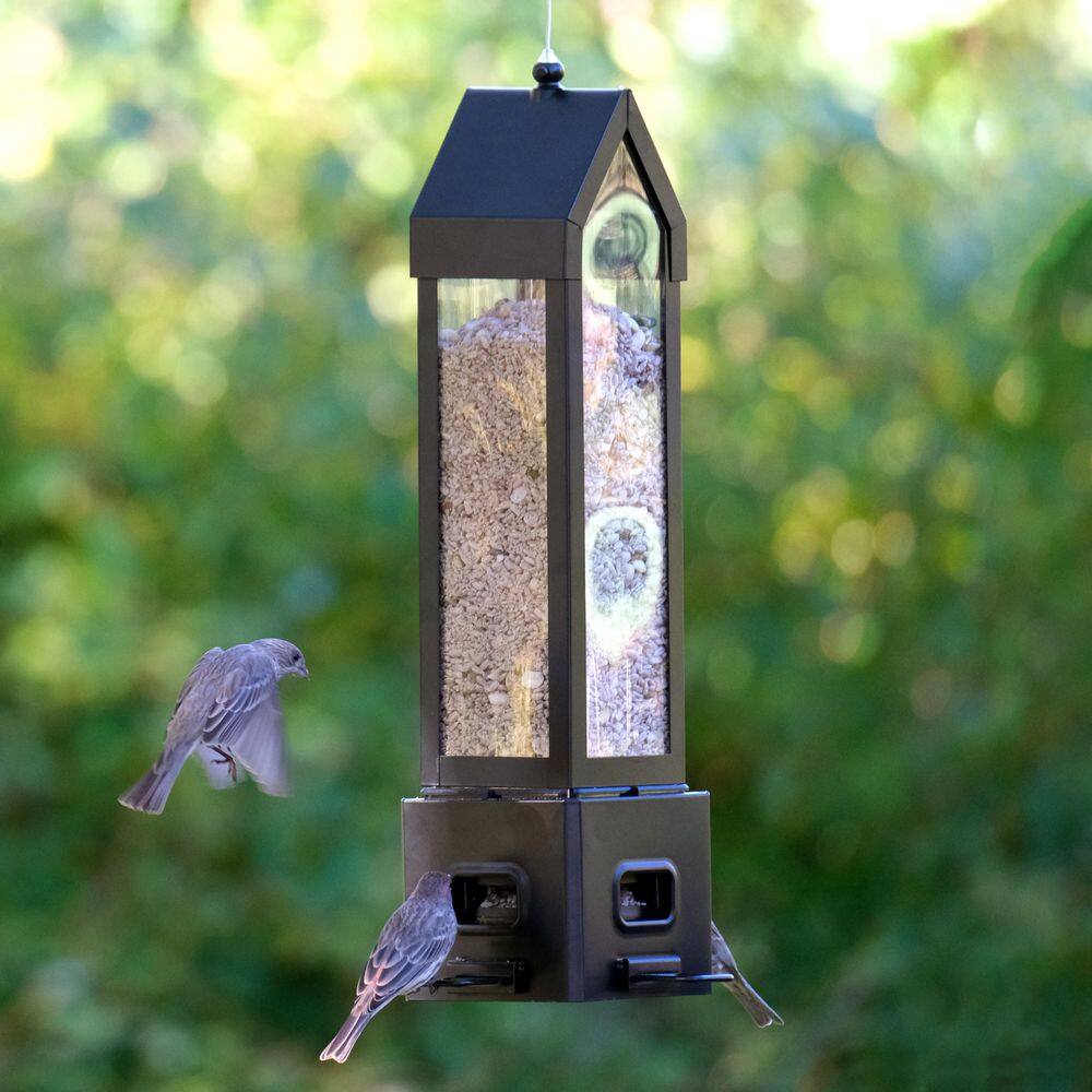 None Choice Metal Lantern Squirrel Proof Bird Feeder