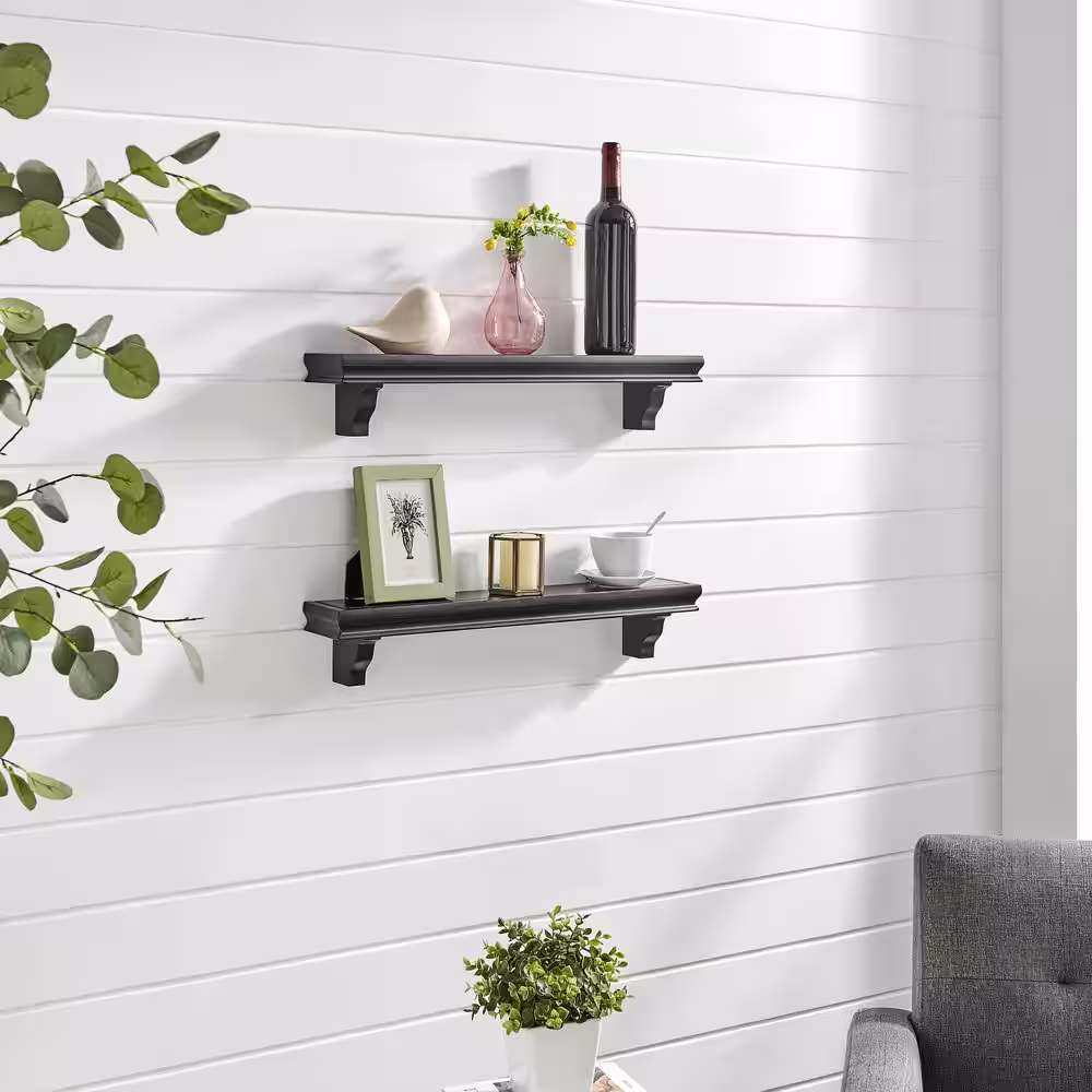 DANYA B 24 in. Black Floating Display Ledge Wall Shelves (Set of 2)