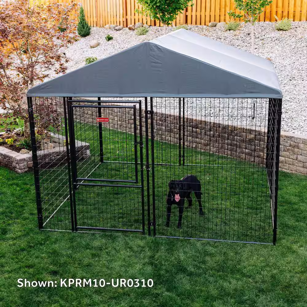 Lucky Dog STAY Series Presidential Steel Grey Kennel (10 ft x 10 ft x 6 ft)
