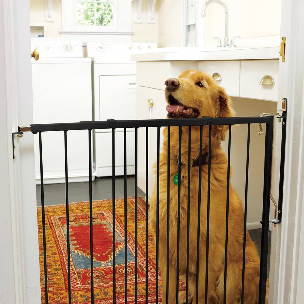 Cardinal Gates 41.5 in. H x 29.5 in. W x 2 in. D Duragate Pet Gate in Black