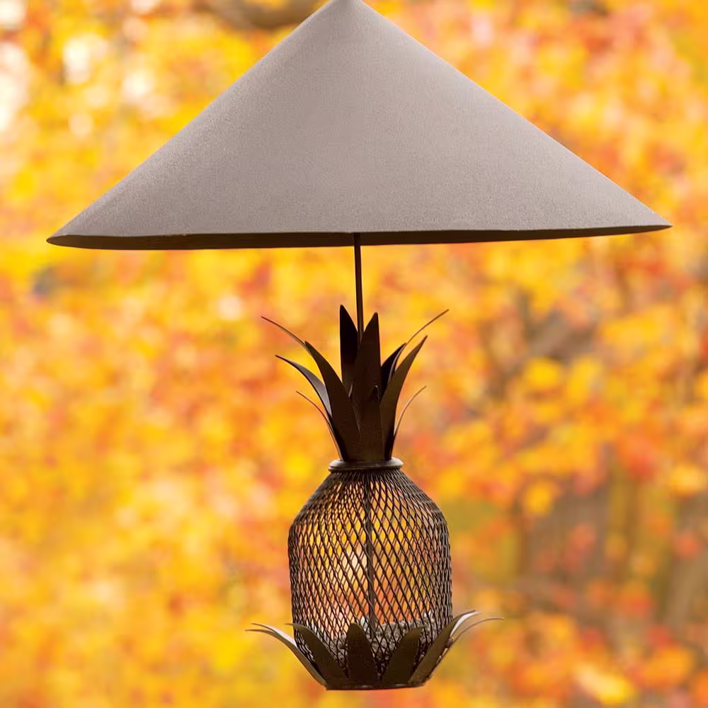 Achla Designs 18 in. Dia Black Powder Coat Hanging Squirrel Deflector