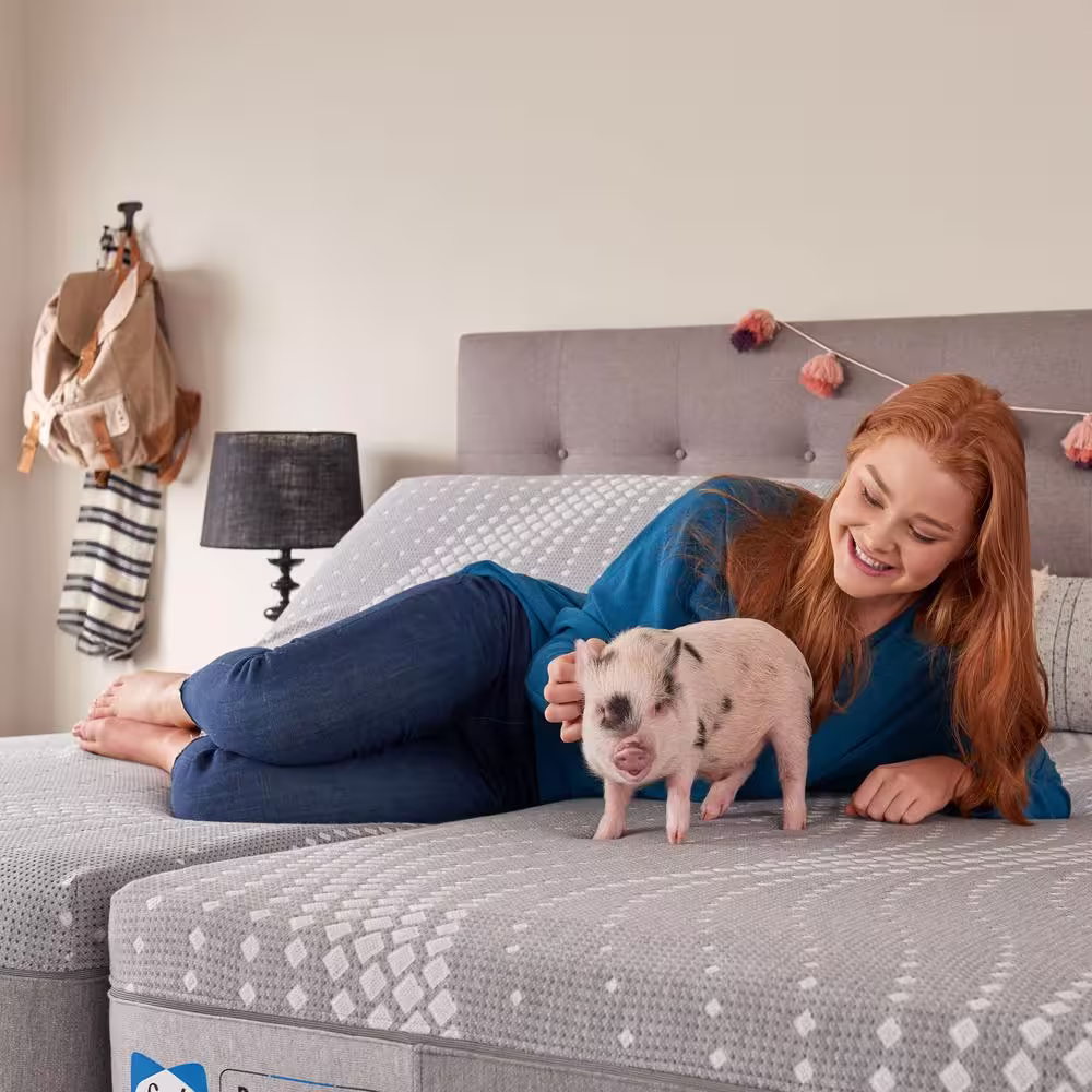 Sealy Paterson King Medium Firm Hybrid 12 in. Mattress