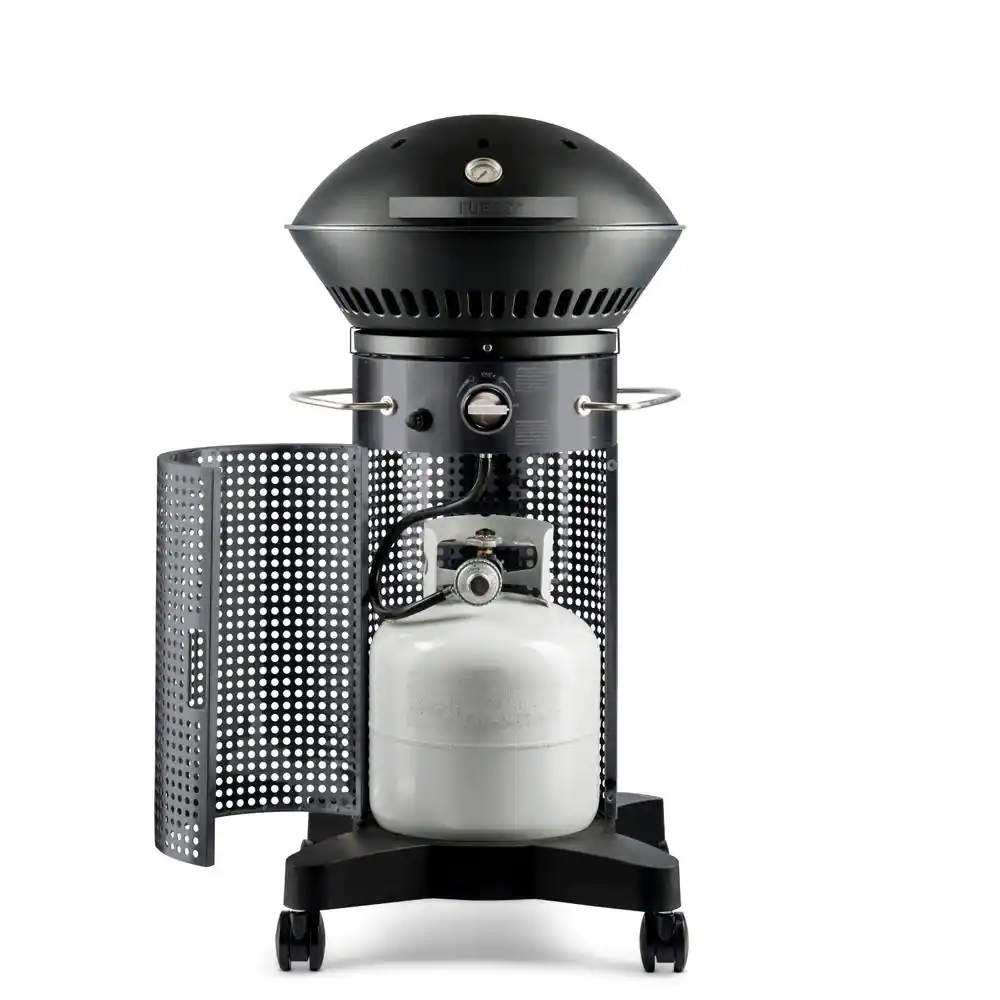 Fuego Element Hinged 2-Burner Propane Gas Grill in Gray