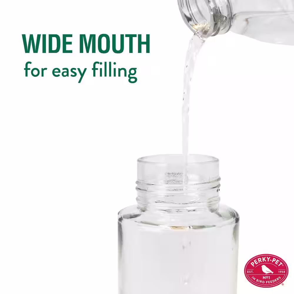 Perky-Pet Our Best Red Base Glass Hummingbird Feeder - 30 oz. Capacity