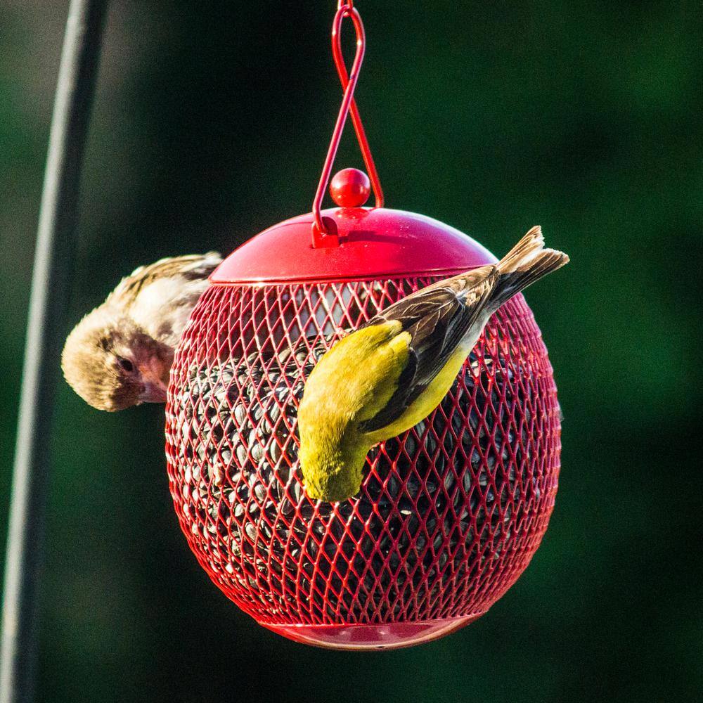 None Metal Red, Blue, Yellow Squirrel Resistant Mesh Bird Feeder Set (3-Pack)