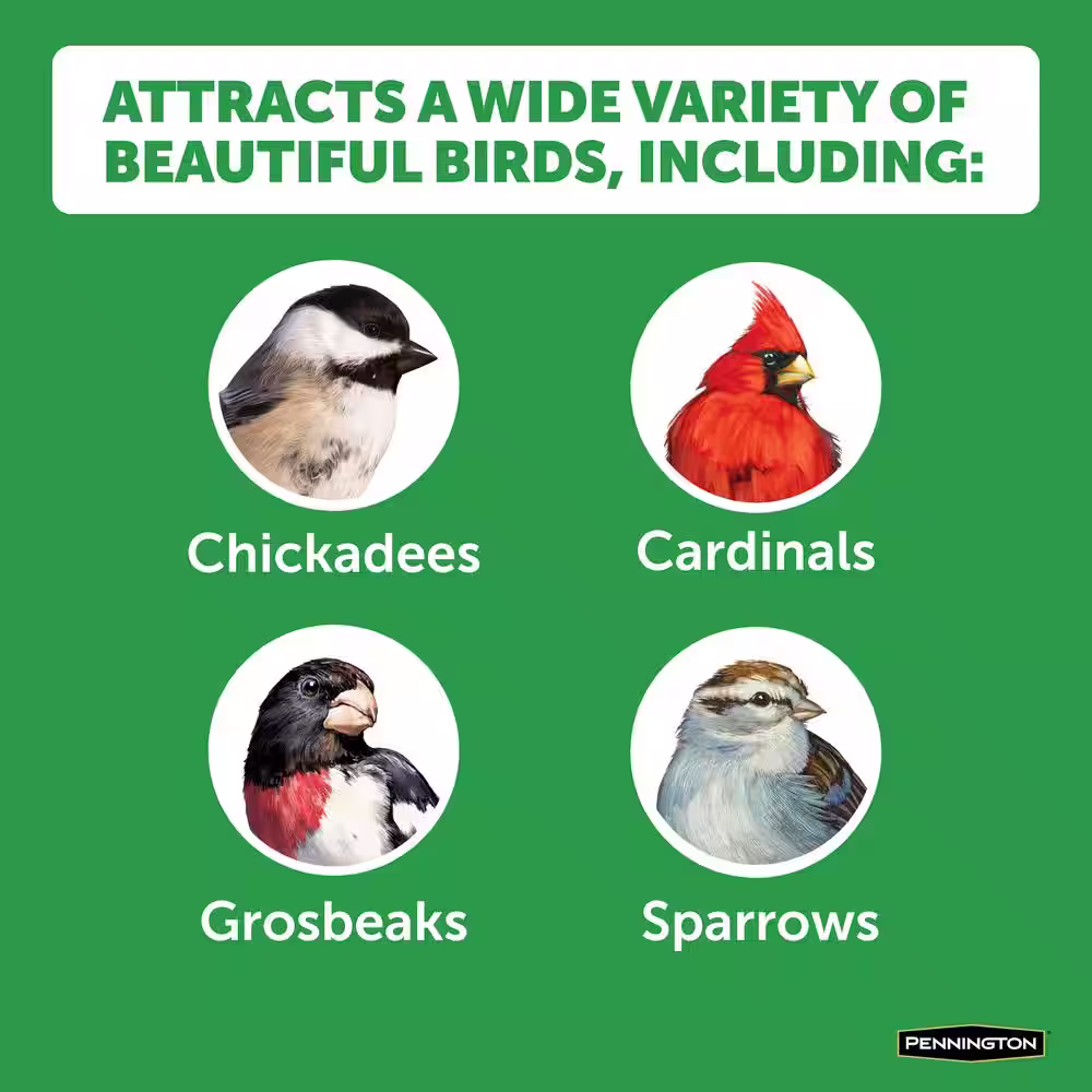 Pennington Premium 7 lbs. Safflower Bird Seed Bird Food