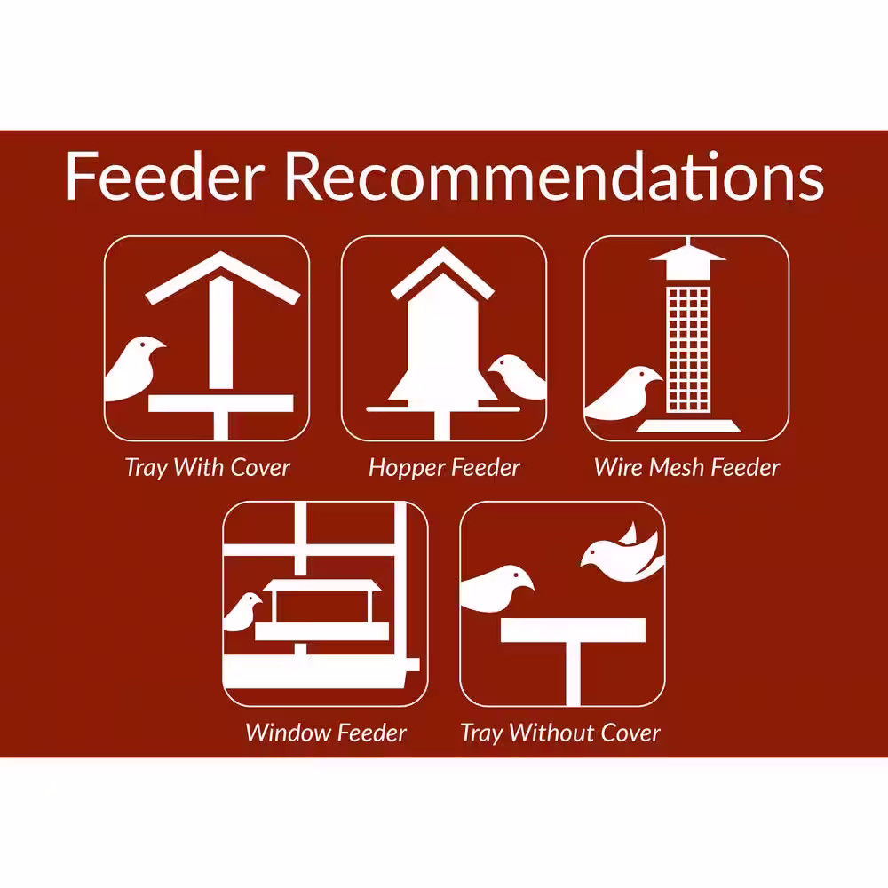 Lyric 12 lbs. Golden Safflower Wild Bird Seed