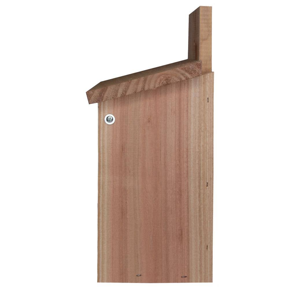 S and K Wooden Bridge Design Cedar Blue Bird House