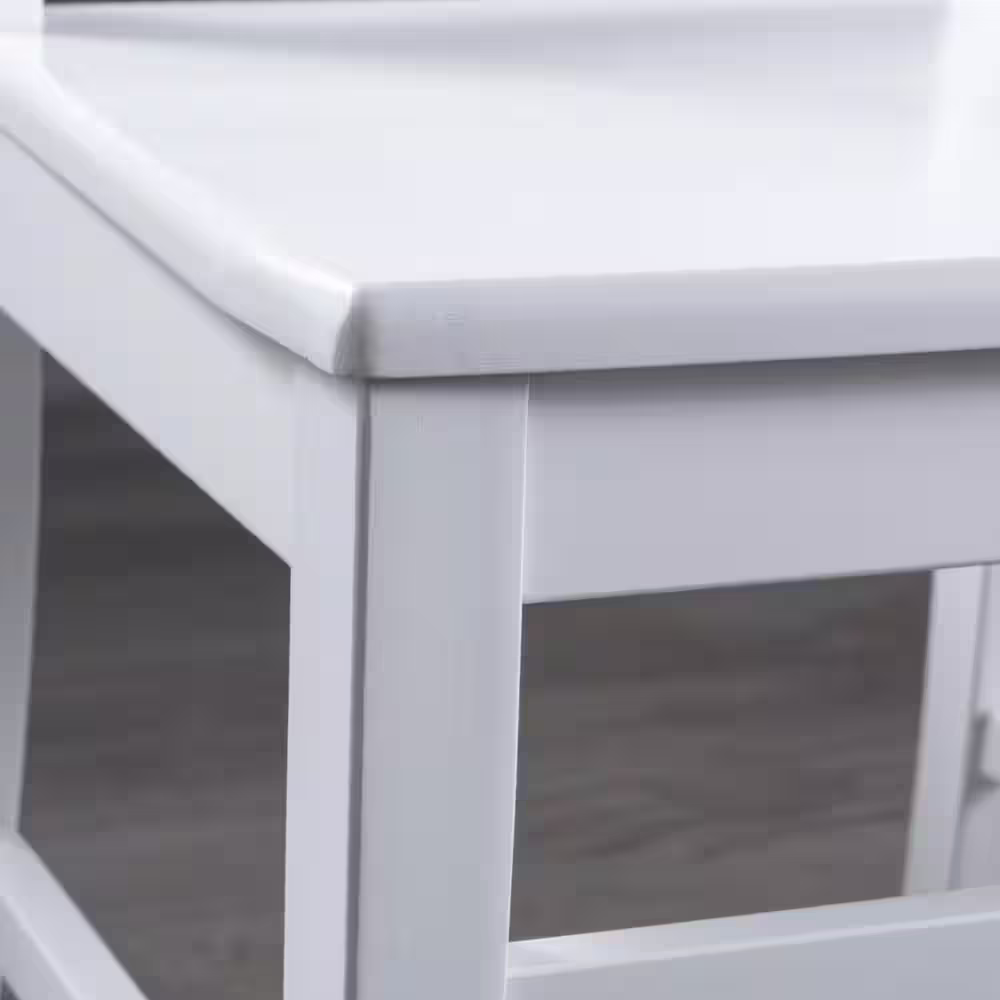 Noble House Roshan White Finish Wood Dining Chairs (Set of 2)