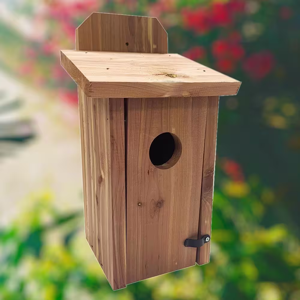 None Red Cedar Bird House