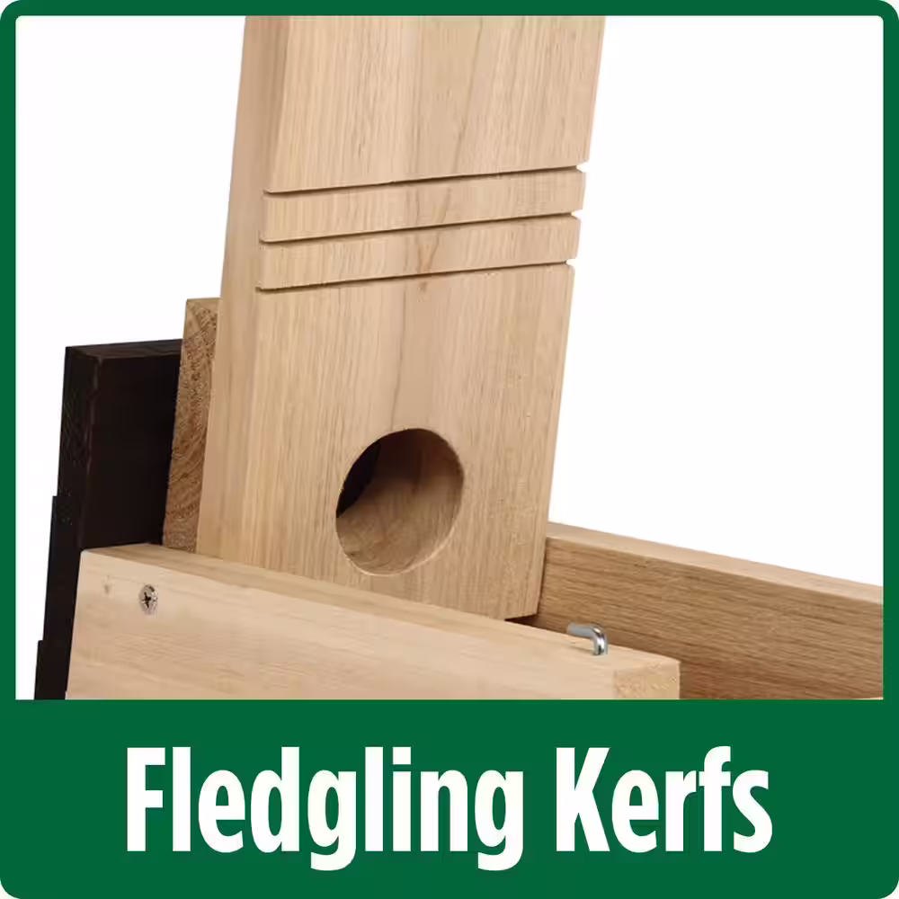 Wild Wings Cedar Bluebird Box House