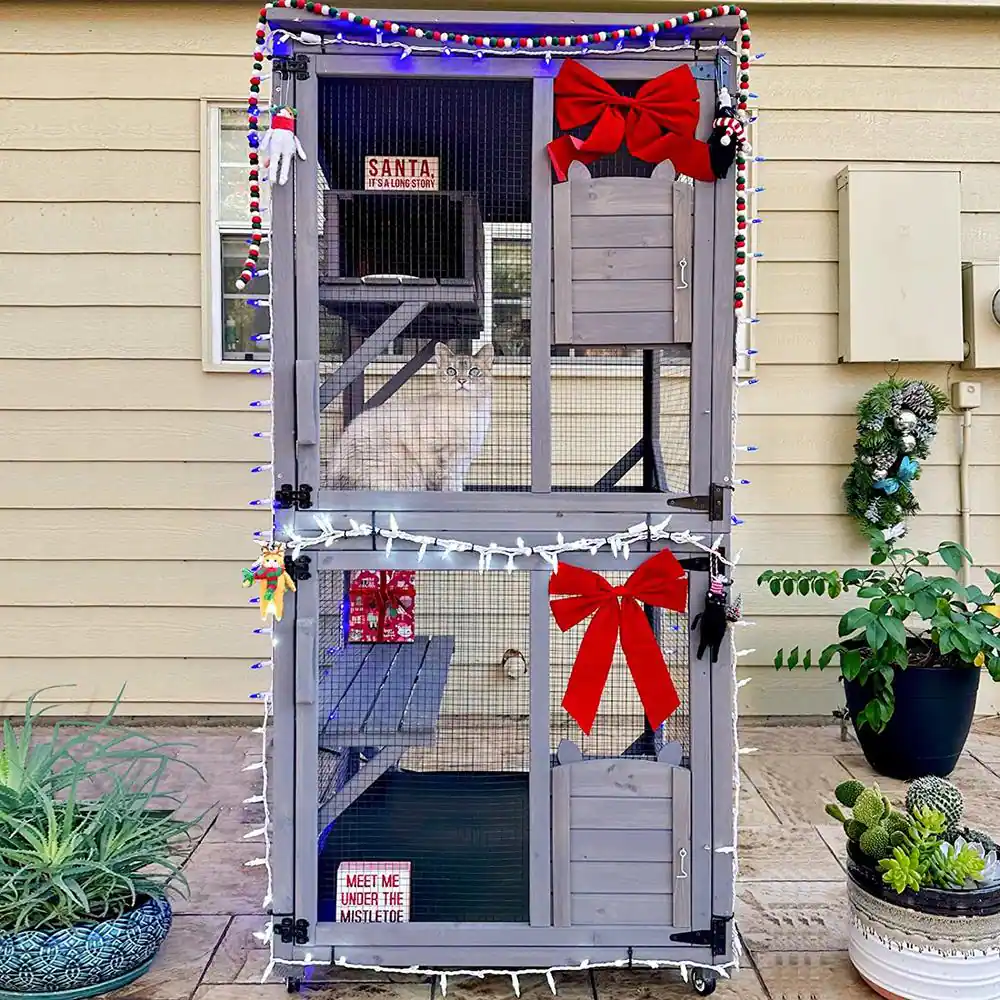 None Cat House, Outdoor Cat Catio (Inner Space 13.2 sq. ft.)