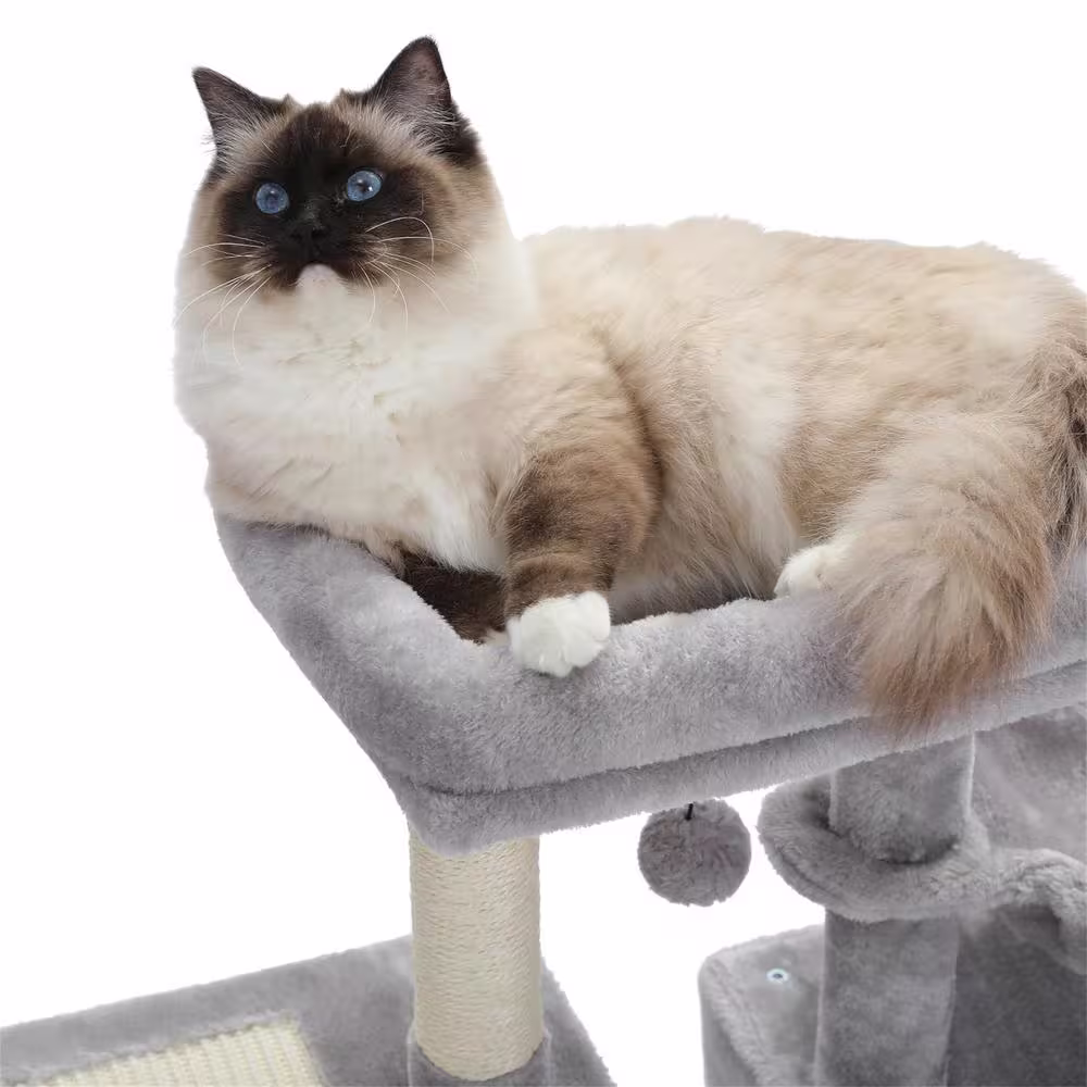 None Modern Cat Scratching Posts and Trees, Cat House, Cat Tree in Grey