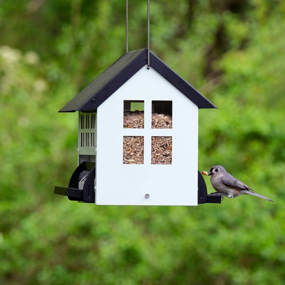 None Choice White Metal Hopper Bird Feeder