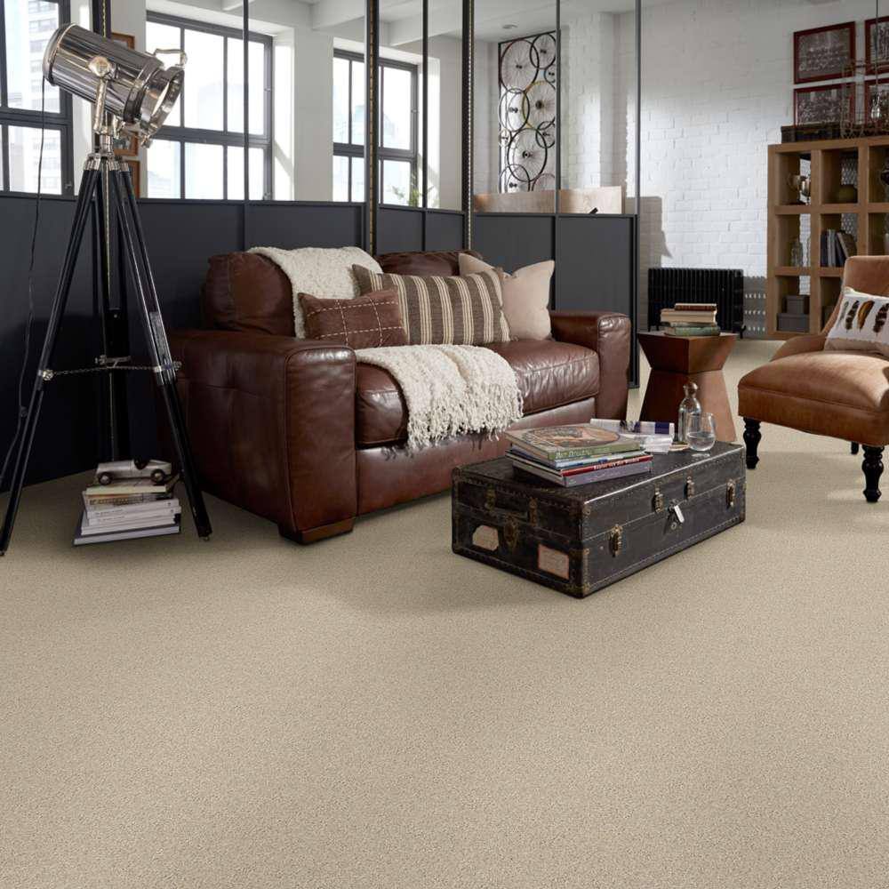Home Decorators Collection Brave Soul II - Clay Bisque - Beige 44 oz. Polyester Texture Installed Carpet