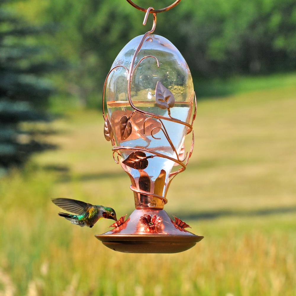 Perky-Pet Looking Glass Hummingbird Feeder - 32 oz. Capacity