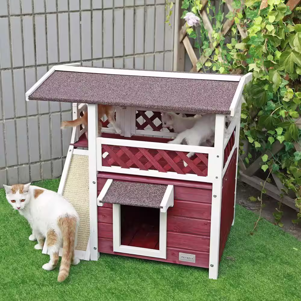 None Cat House for Outdoor Cats Weatherproof with Escape Door in Gray