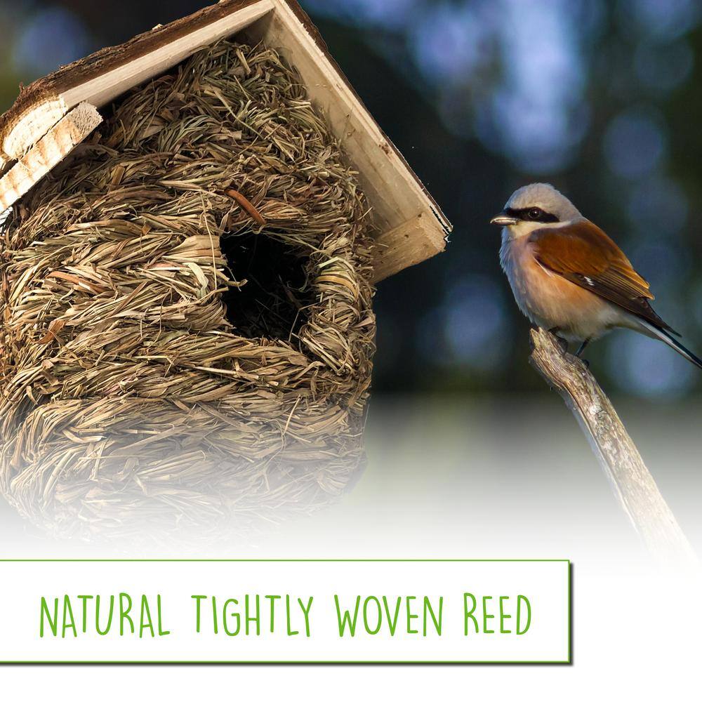 None Backyard Expressions Grass Woven Natural Bird House Set - 2 Pack