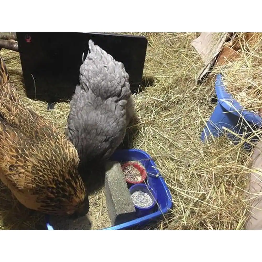 None 200-Watt Flat Panel Design Cozy Coop Safe Chicken Coop Heater