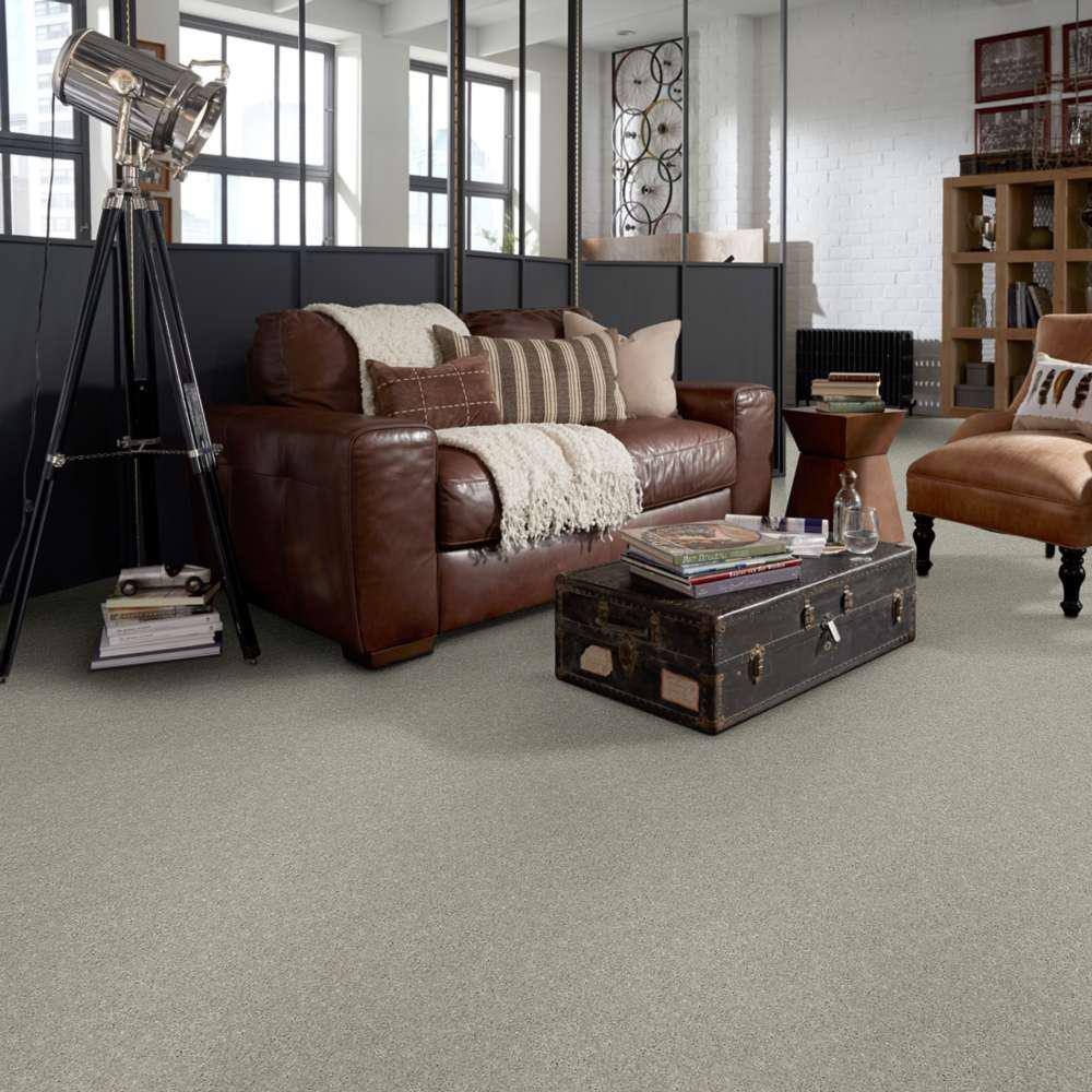 Home Decorators Collection Brave Soul I - Sedona Dust - Beige 34.7 oz. Polyester Texture Installed Carpet
