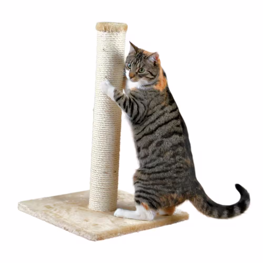 TRIXIE Parla Cat Scratching Post : For Indoor Cats : Plush Covered Base and Sisal Post : Beige : 24 inches Tall