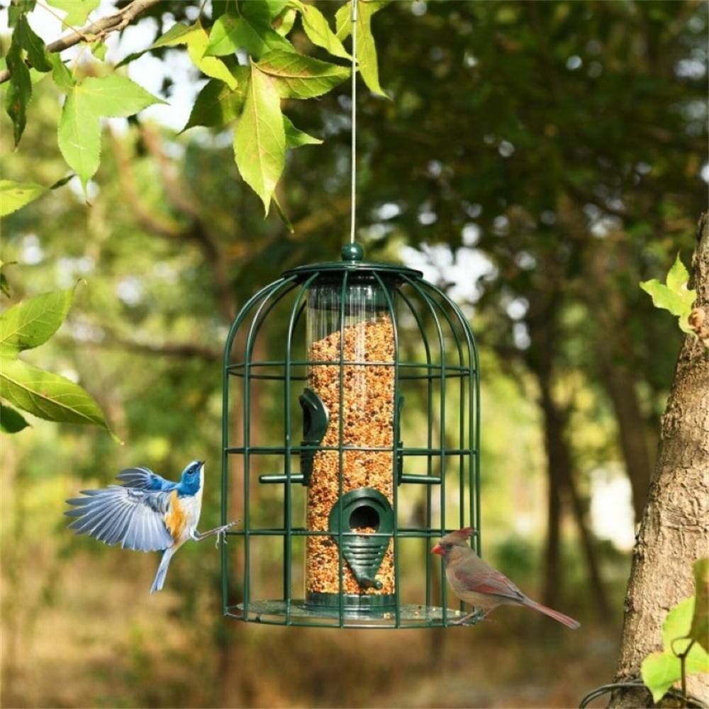 None Outdoor Metal Pest Off Squirrel Proof Mixed Seed and Sunflower Bird Feeder, Wild Bird Feeder