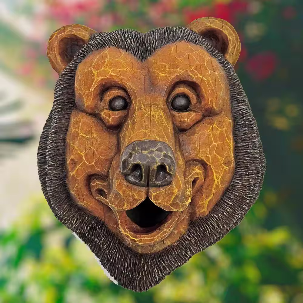 None Bird House Black Bear Face