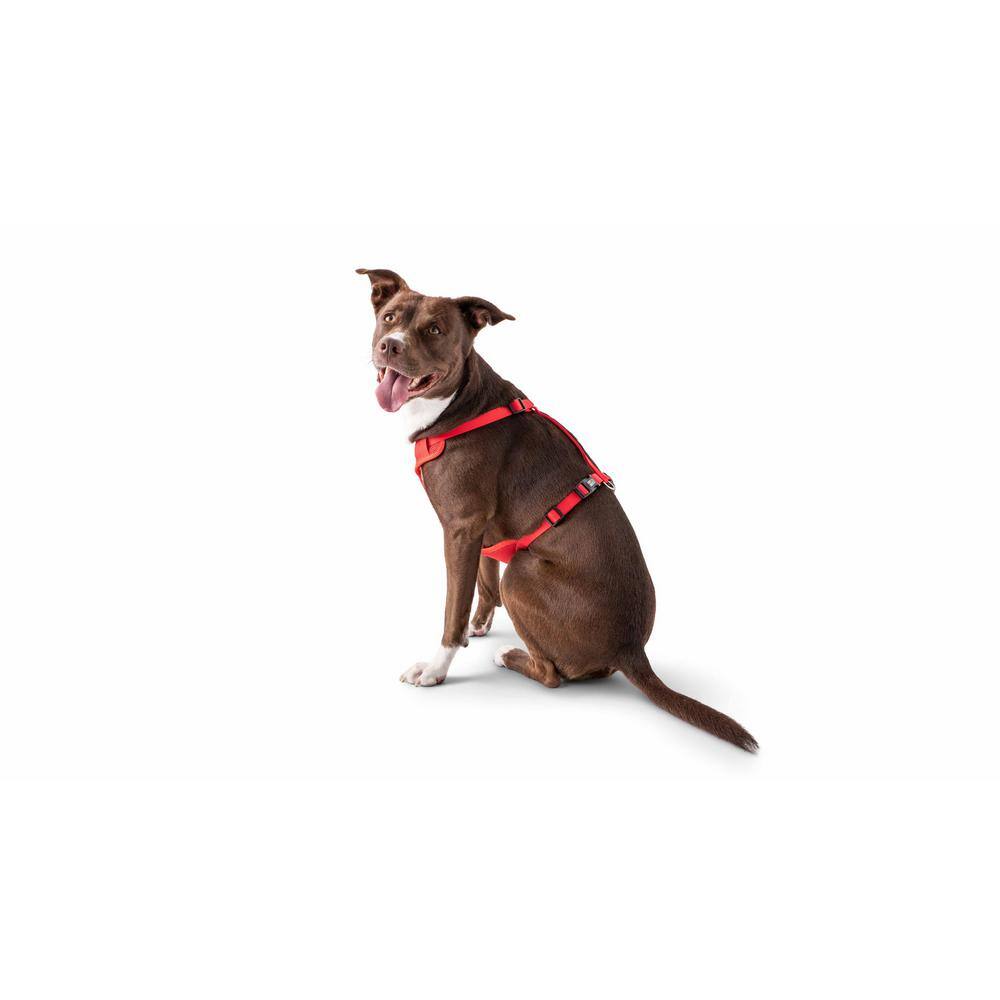 None Small Red Pet Travel Harness